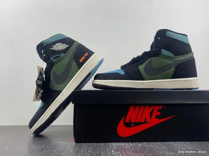 Rep LUCY Air Sky Light Element Gore-Tex Jordan DB2889-003 1 Olive J 0606